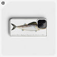3-27_Ichtyologie-ou-Histoire-naturelle_phone