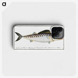 3-27_Ichtyologie-ou-Histoire-naturelle_phone