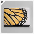 3-27_Insects-Unlocked-Project_canvas