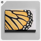 3-27_Insects-Unlocked-Project_canvas