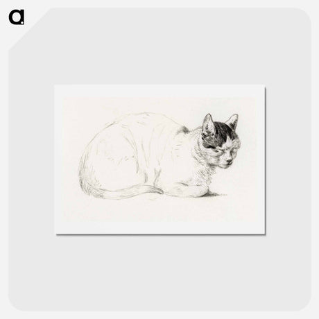 アートポストカード-Sketch of a cat - ジャン ベルナール Postcard.