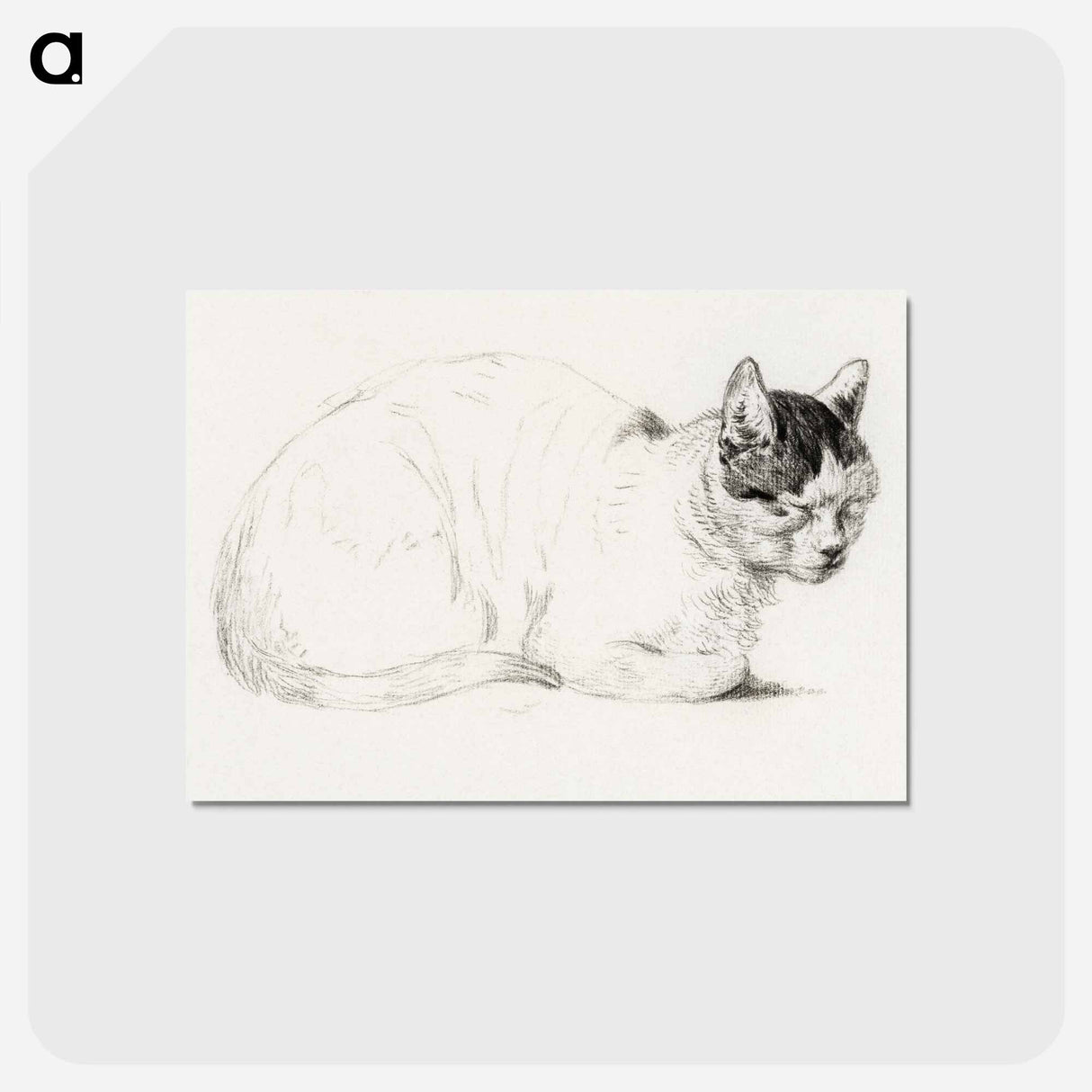 アートポストカード-Sketch of a cat - ジャン ベルナール Postcard.