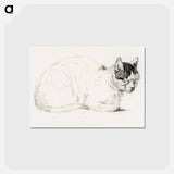 アートポストカード-Sketch of a cat - ジャン ベルナール Postcard.