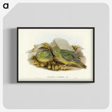 3-27_John-Gould_blk-crop