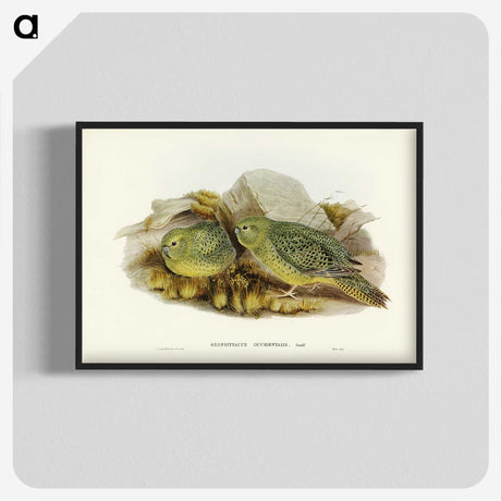 3-27_John-Gould_blk-crop