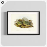 3-27_John-Gould_blk
