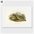 3-27_John-Gould_picture
