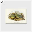 3-27_John-Gould_postcard