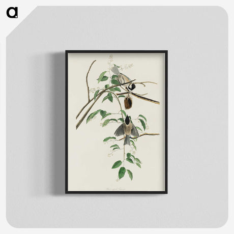 3-27_John-James-Audubon_blk-crop
