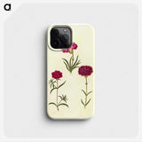 3-27_Maria-Sibylla-Merian_phone