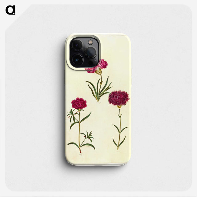 3-27_Maria-Sibylla-Merian_phone