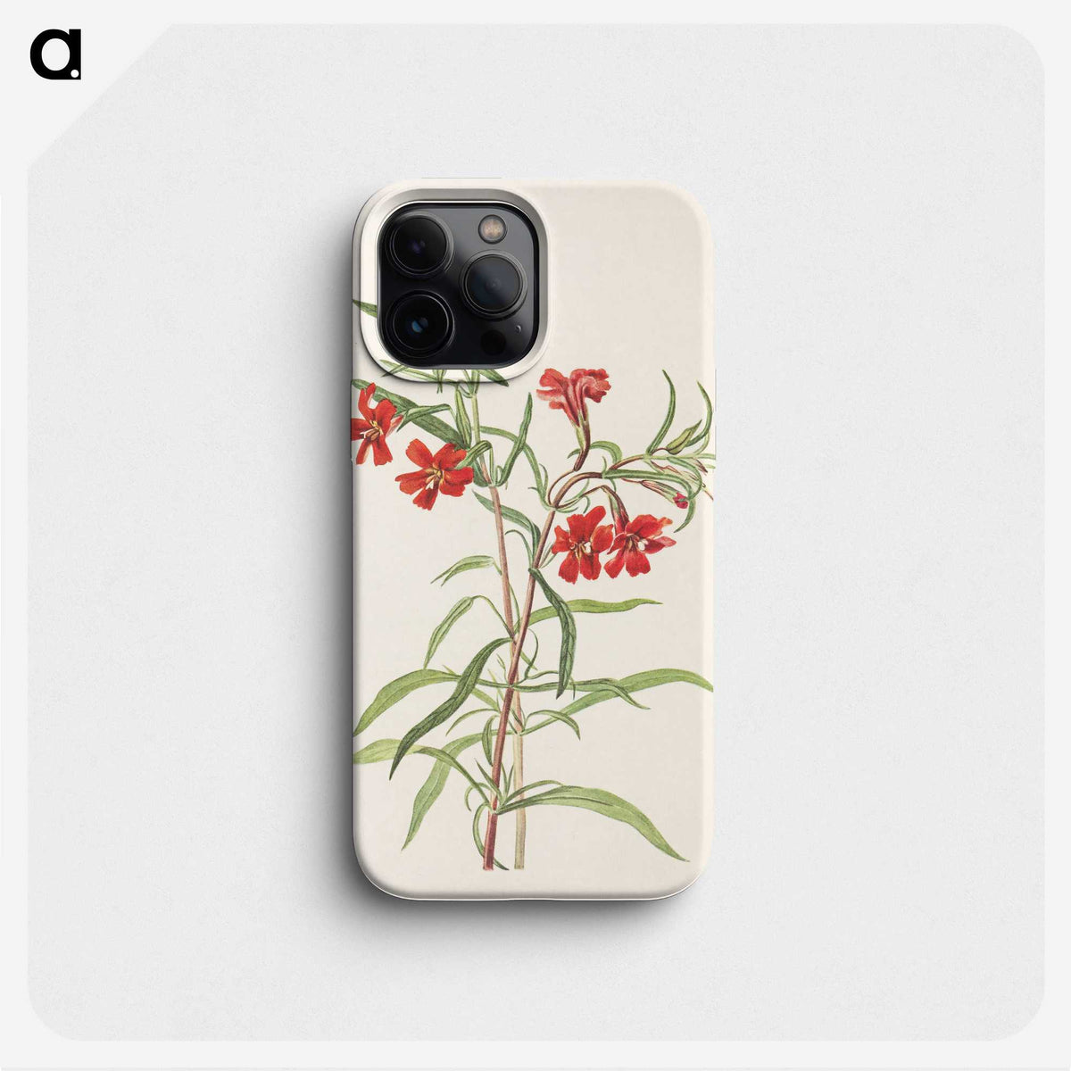 3-27_Mary-Vaux-Walcott_phone