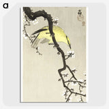 3-27_Ohara-Koson_picture-crop
