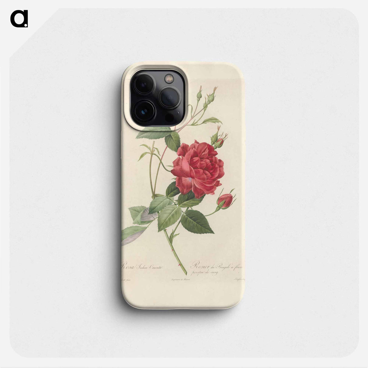 Rose illustration - ピエール ジョゼフ ルドゥーテ Phone Case.