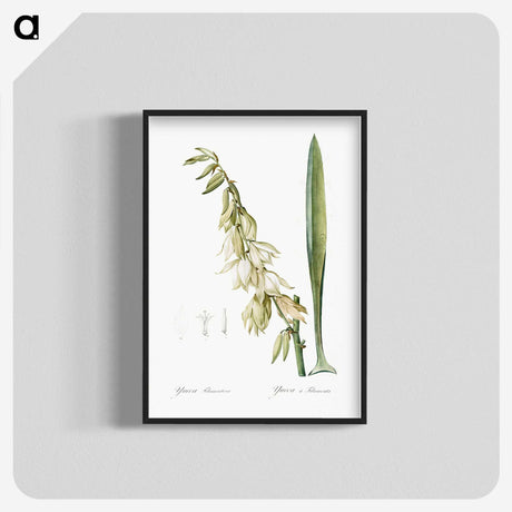 3-27_The-Lilies_blk-crop