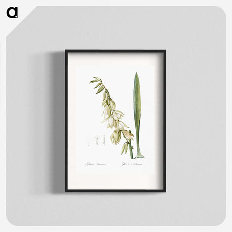 3-27_The-Lilies_blk