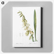 3-27_The-Lilies_canvas