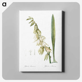 3-27_The-Lilies_canvas