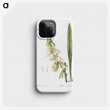 3-27_The-Lilies_phone