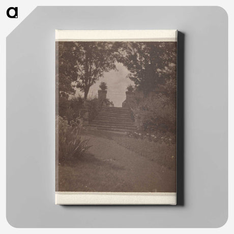 3-28_Alfred-Stieglitz_canvas