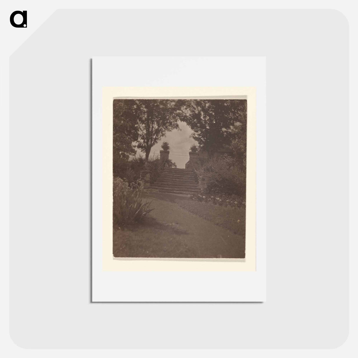 アートポストカード-Italian Steps - Oaklawn, Lake George - アルフレッド スティーグリッツ Postcard.