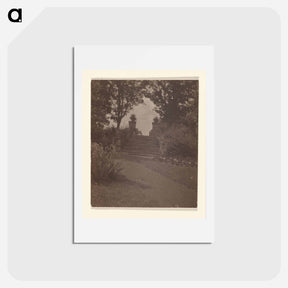 アートポストカード-Italian Steps - Oaklawn, Lake George - アルフレッド スティーグリッツ Postcard.