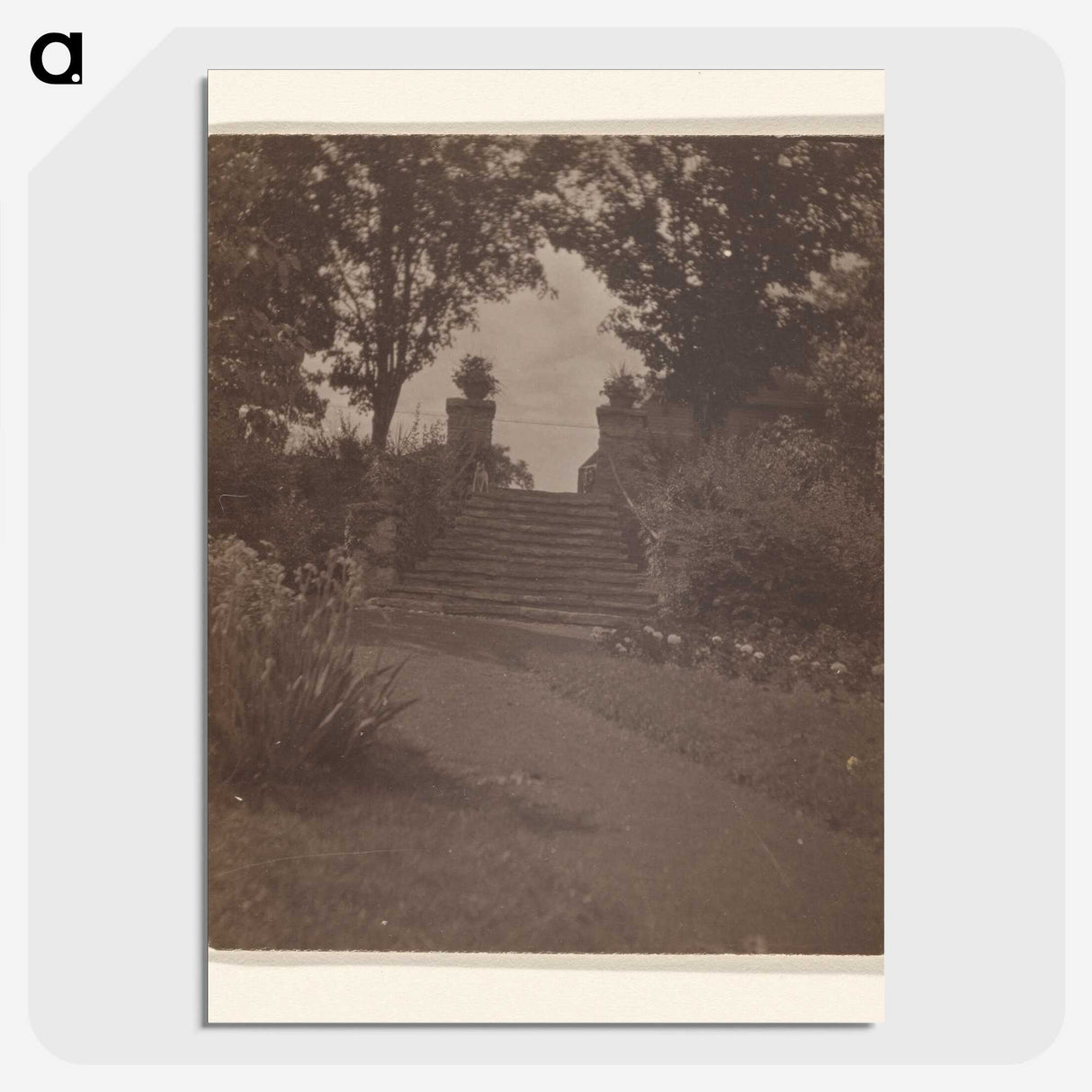 3-28_Alfred-Stieglitz_picture-crop