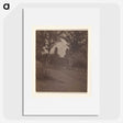 3-28_Alfred-Stieglitz_picture