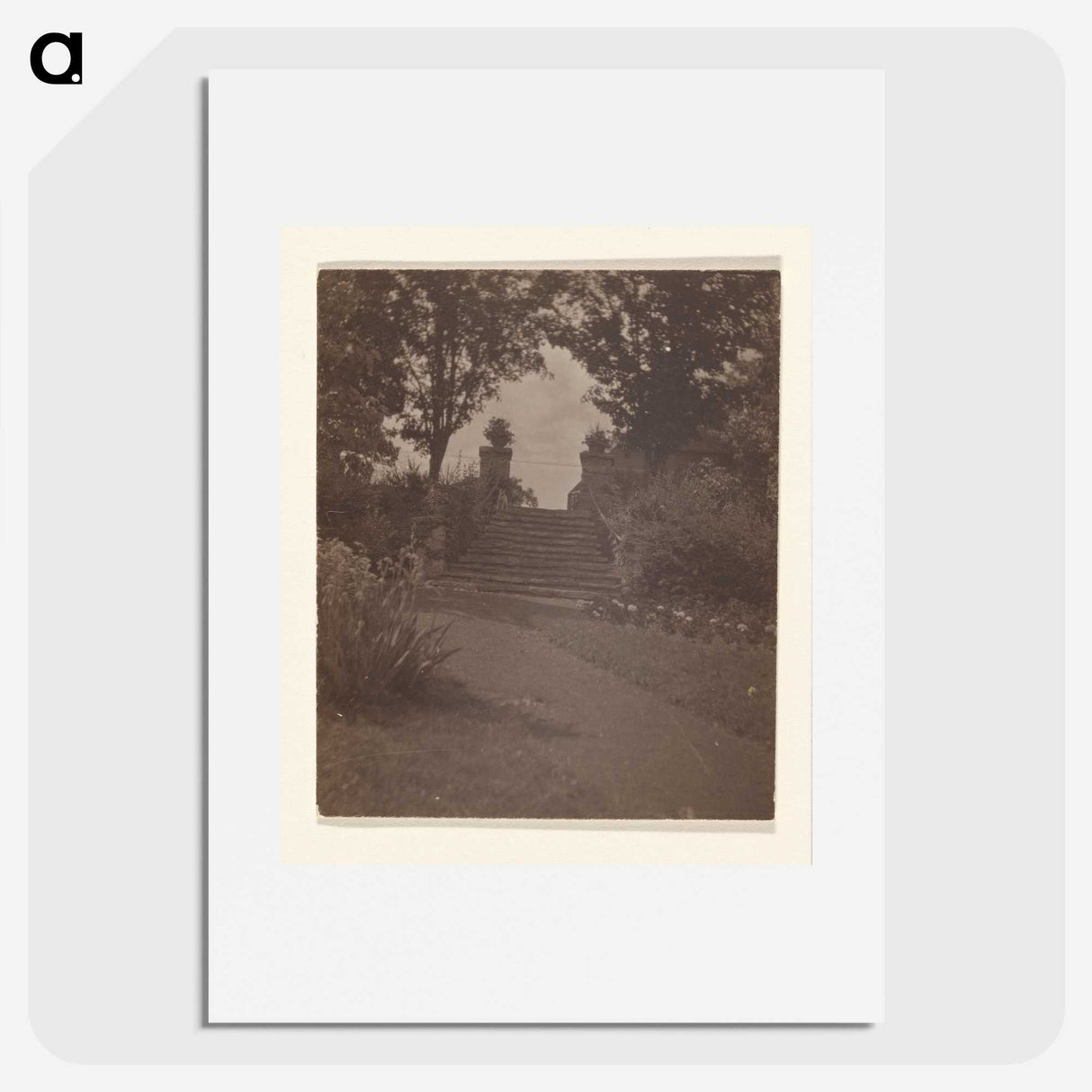 3-28_Alfred-Stieglitz_picture