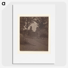 3-28_Alfred-Stieglitz_picture