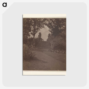 3-28_Alfred-Stieglitz_postcard