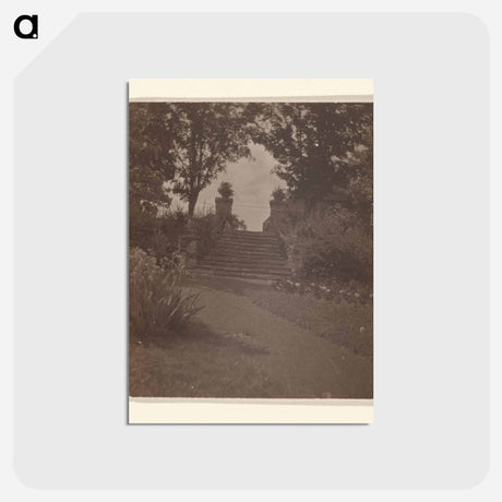 アートポストカード-Italian Steps - Oaklawn, Lake George - アルフレッド スティーグリッツ Postcard.