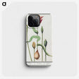 3-28_Anselmus-Boetius-de-Boodt_phone