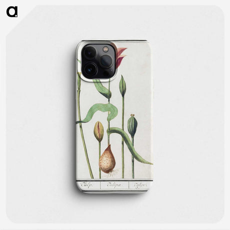 3-28_Anselmus-Boetius-de-Boodt_phone