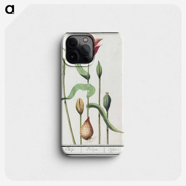 3-28_Anselmus-Boetius-de-Boodt_phone