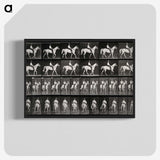 3-28_Eadweard-Muybridge_blk-crop