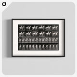 3-28_Eadweard-Muybridge_blk