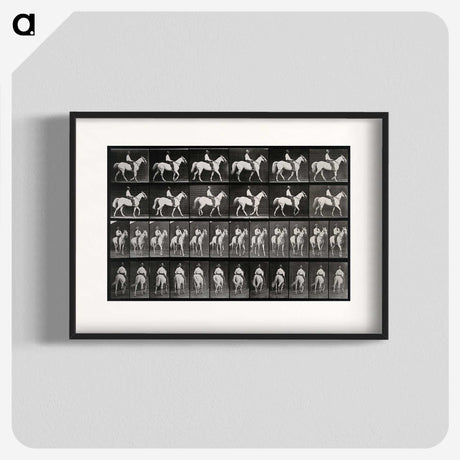 3-28_Eadweard-Muybridge_blk