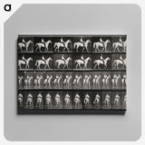 3-28_Eadweard-Muybridge_canvas