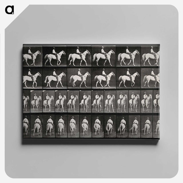 3-28_Eadweard-Muybridge_canvas
