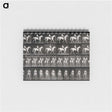 3-28_Eadweard-Muybridge_memo