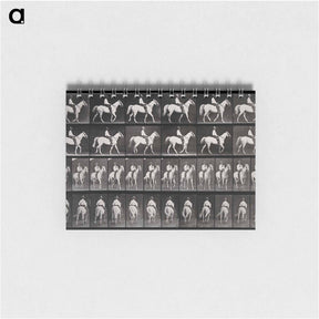 アートメモ帳-Man Riding a Horse
 - エドワード マイブリッジ Memo.