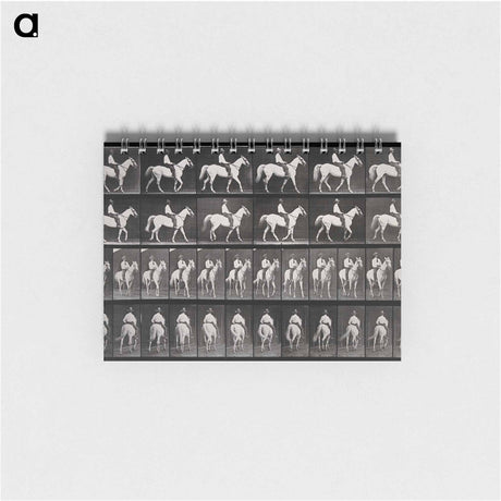 アートメモ帳-Man Riding a Horse
 - エドワード マイブリッジ Memo.