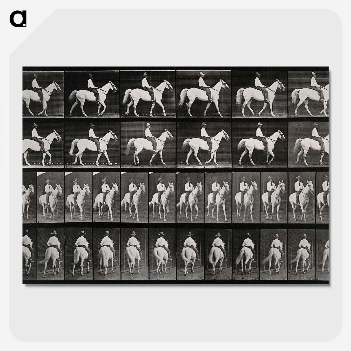 3-28_Eadweard-Muybridge_picture-crop