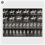 3-28_Eadweard-Muybridge_picture-crop