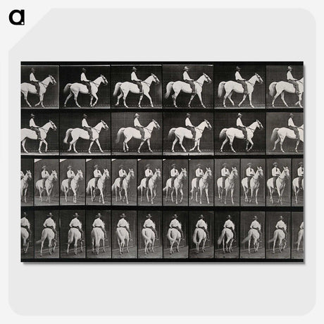 3-28_Eadweard-Muybridge_picture-crop