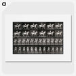 3-28_Eadweard-Muybridge_picture