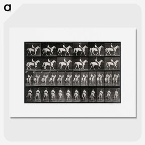 3-28_Eadweard-Muybridge_picture