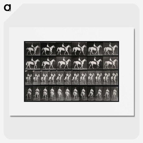 3-28_Eadweard-Muybridge_picture