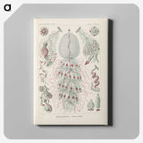 3-28_Ernst-Haeckel_canvas
